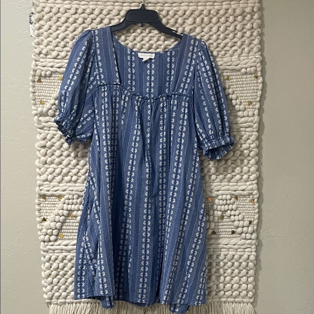 Treasure & Bond Blue and White Mini Dress